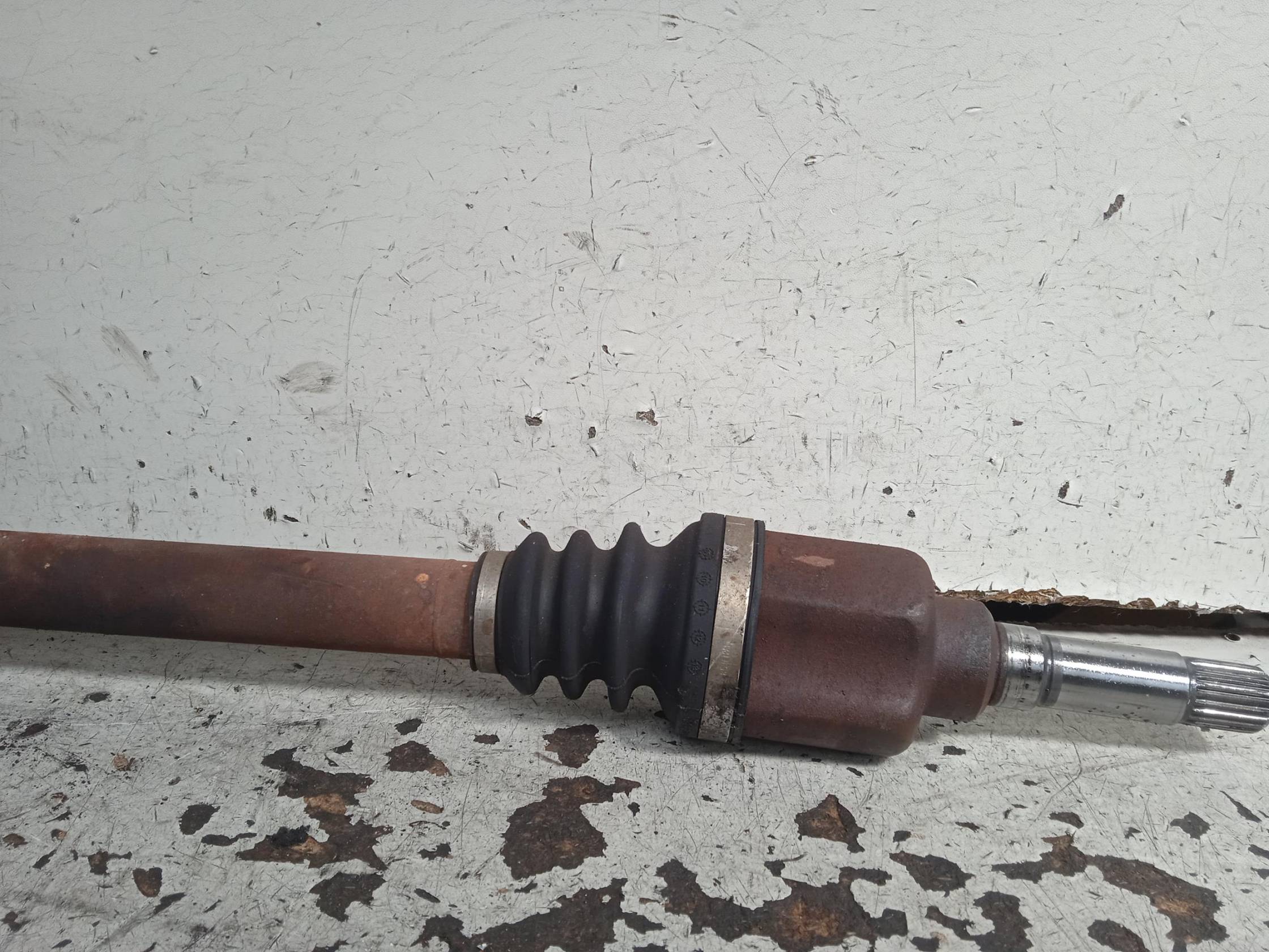 Semialbero ant. compl. dx.